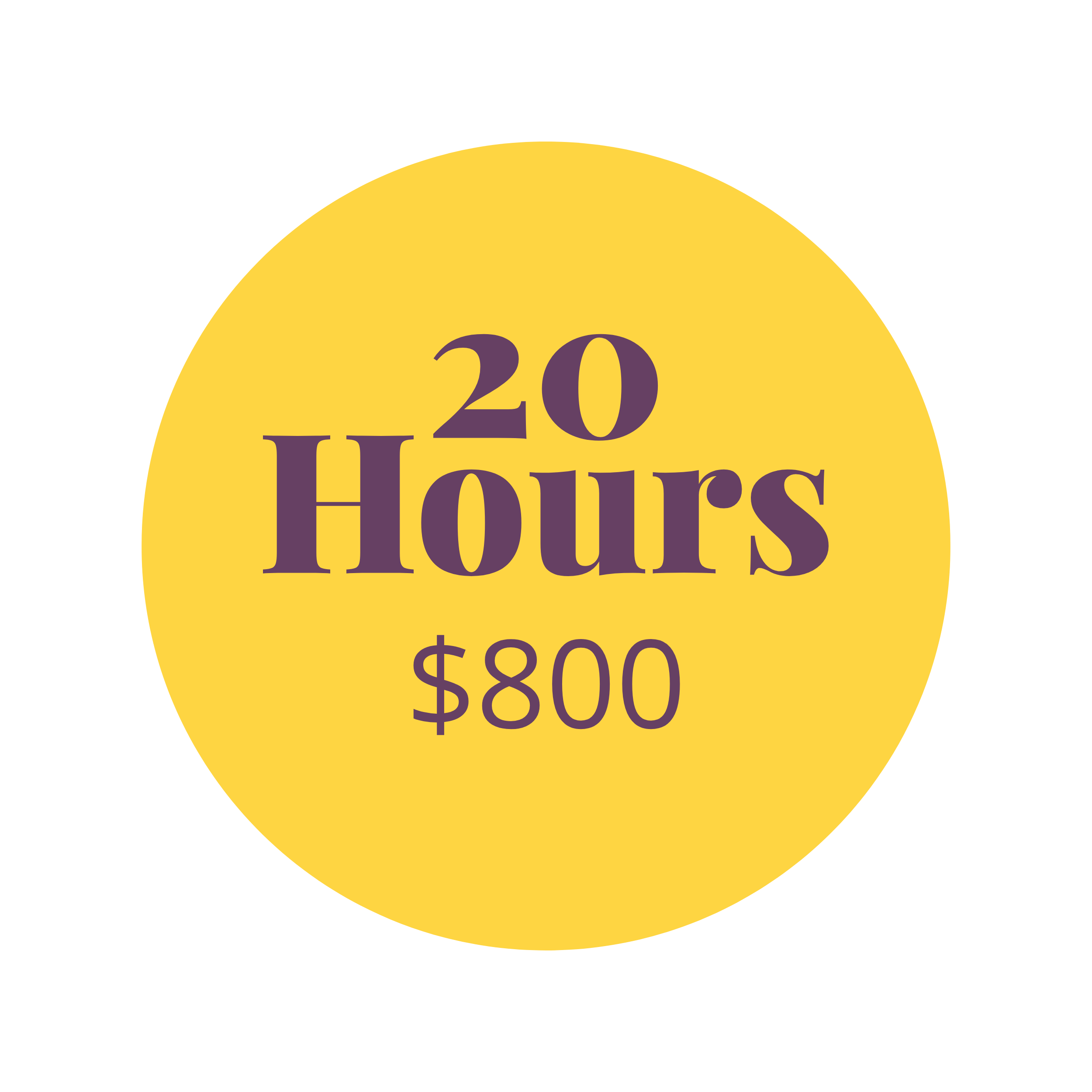 Yellow circle with purple text that reads "20 Hours $800" monthly package for vitual assistant systems specialist support.