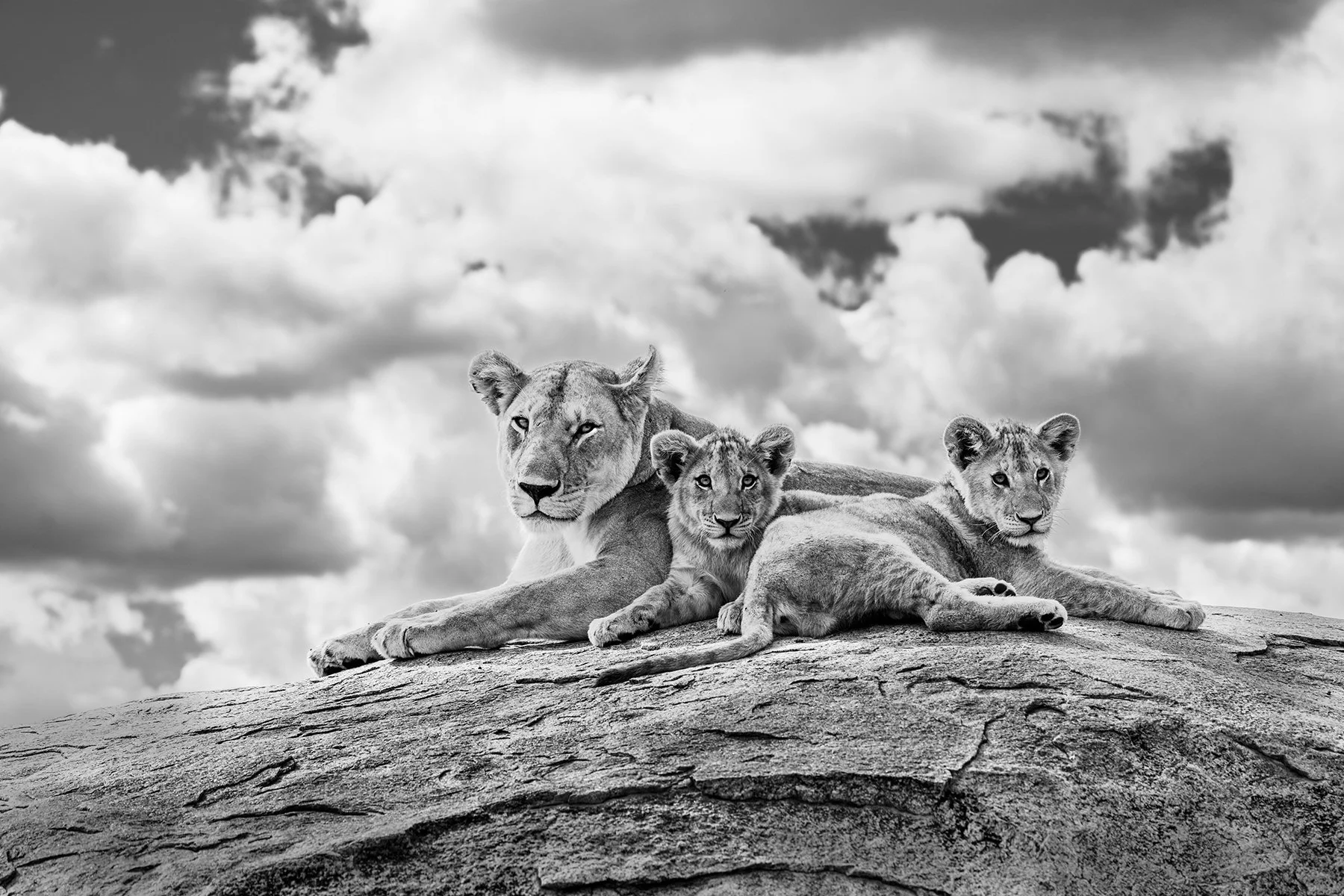 GuardingHerFuture-2 copy.jpg