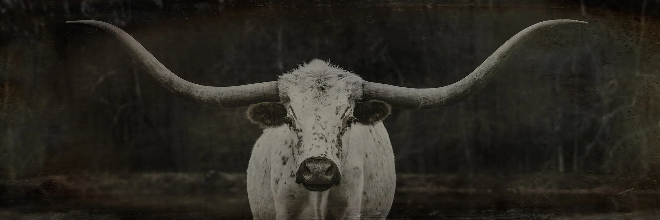 Longhorn615_Nov2023-8ig.jpg