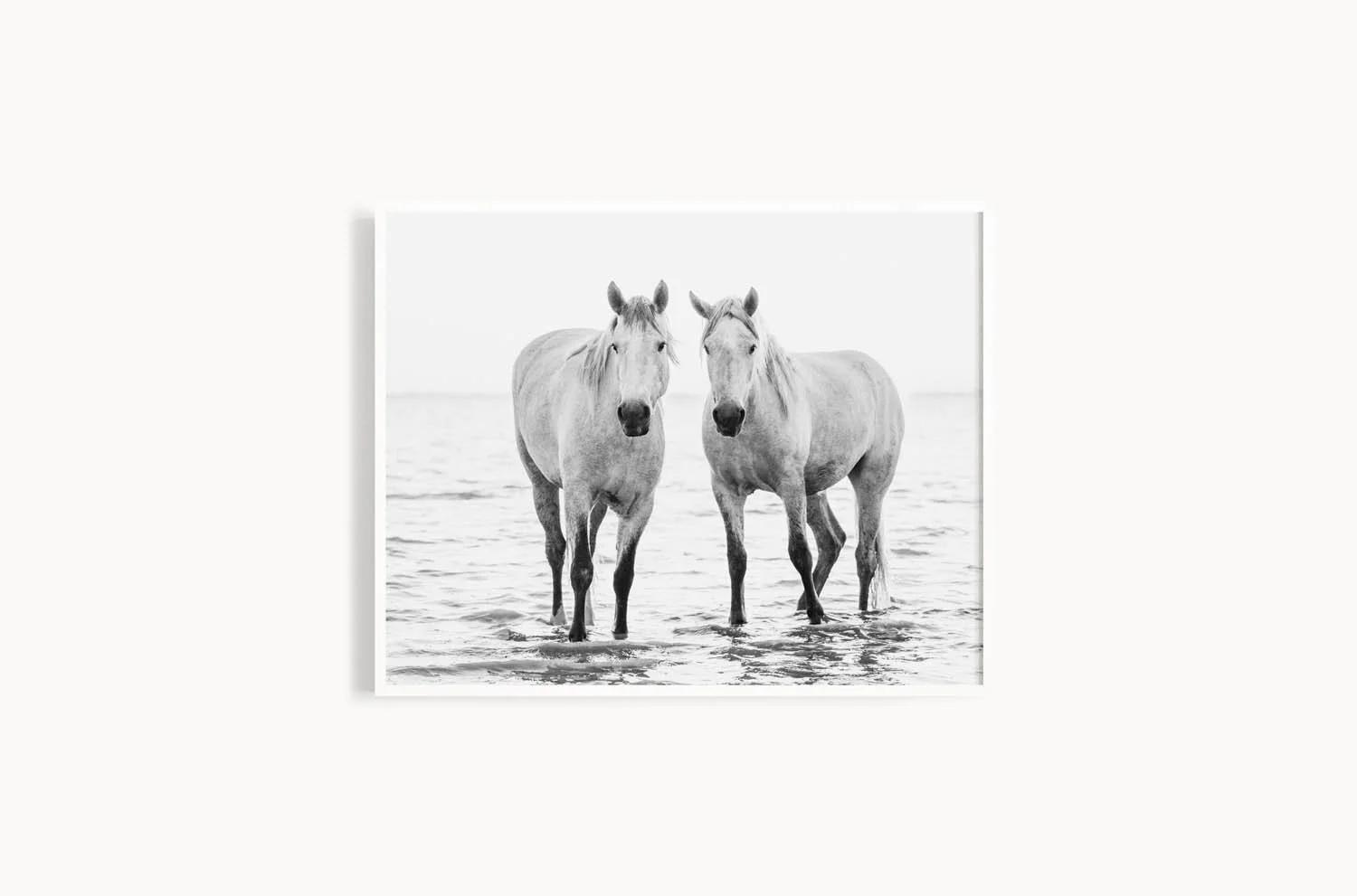 White Horses of Camargue France | Jessica Davis Photography -1framed.jpg