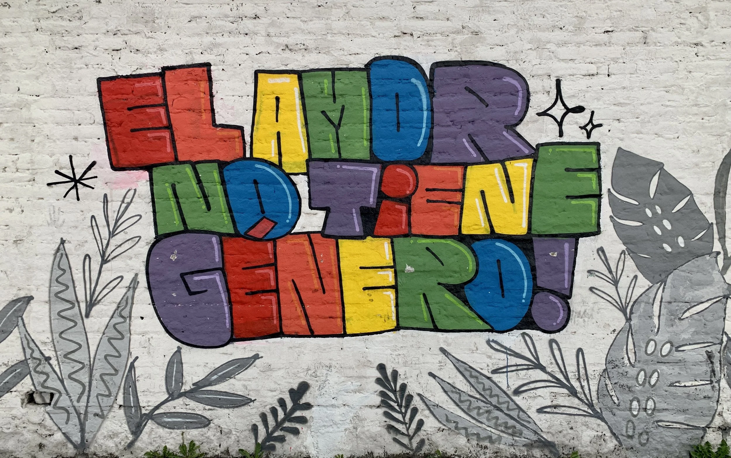 Colorful graffiti on a white brick wall reading "El amor no tiene género" surrounded by gray leaf designs. The text is in bold, colorful letters.