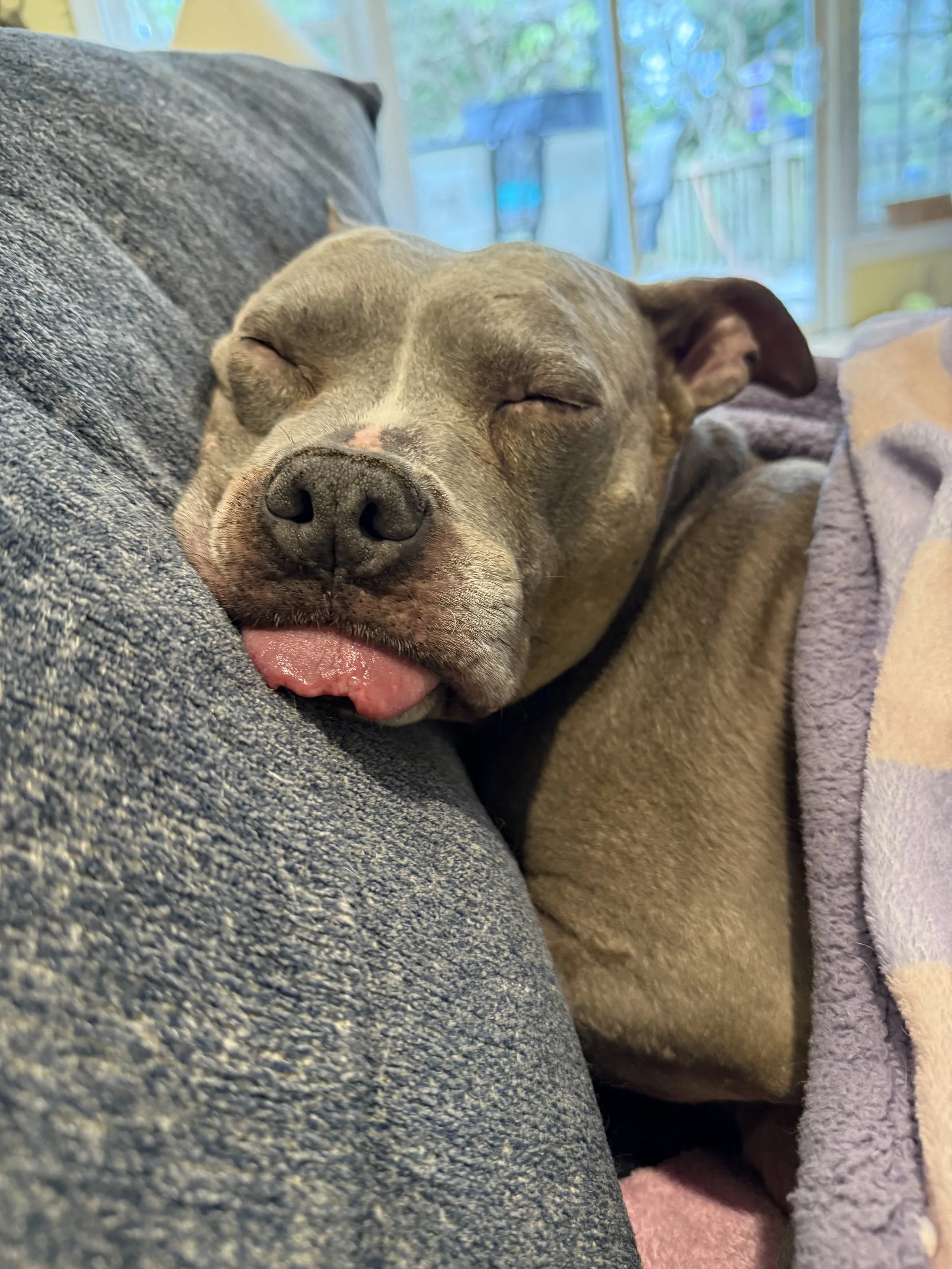 Why Stiffness After Rest Matters!