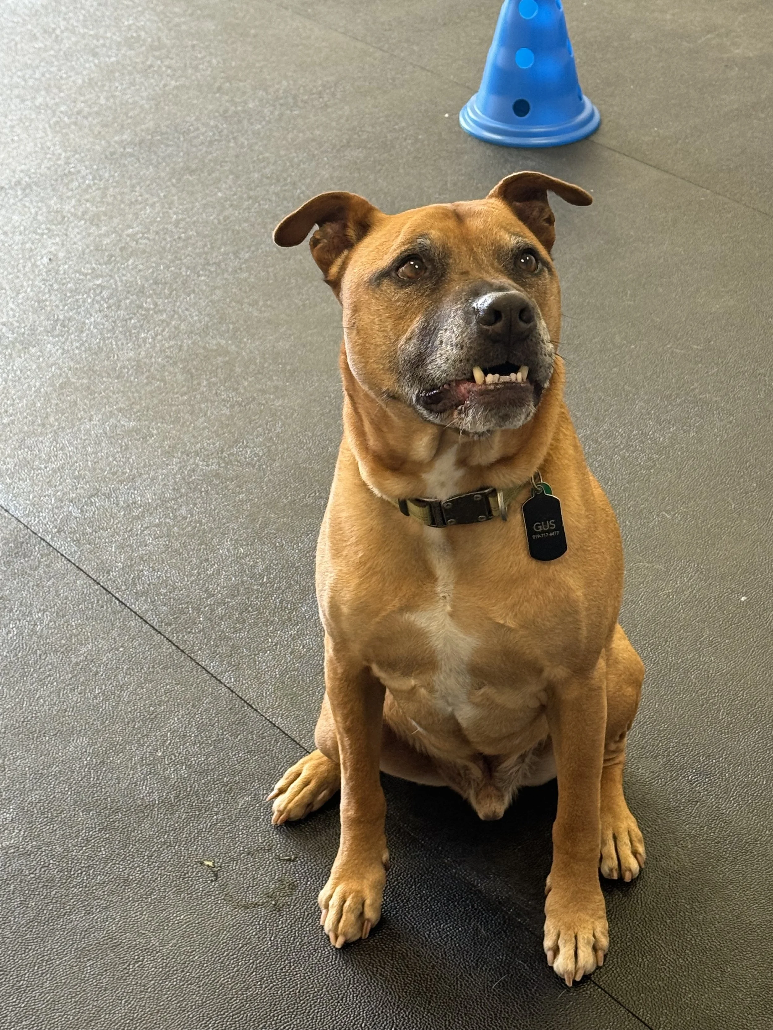 Rehab Is a Partnership 