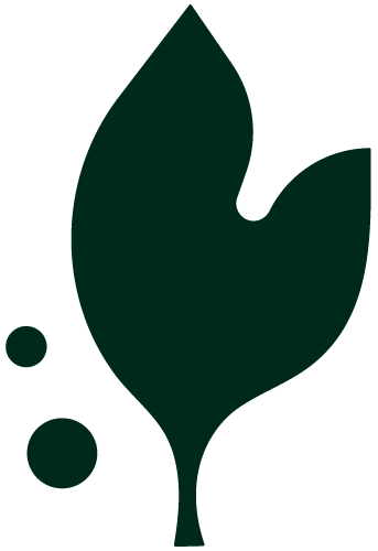 Simple abstract plant or leaf design in dark green with small circular shapes around it.