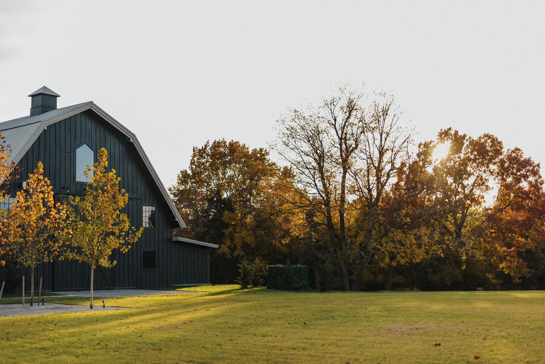 A black barn with a gabled roof and a small cupola, surrounded by a grassy lawn and autumn trees with yellow and orange leaves, with the sun setting in the background.