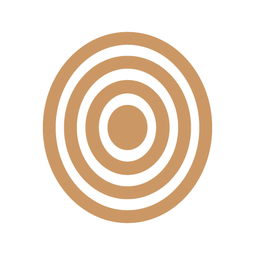 A yellowwood tree with a ringed cross section of its trunk showing its growth rings.