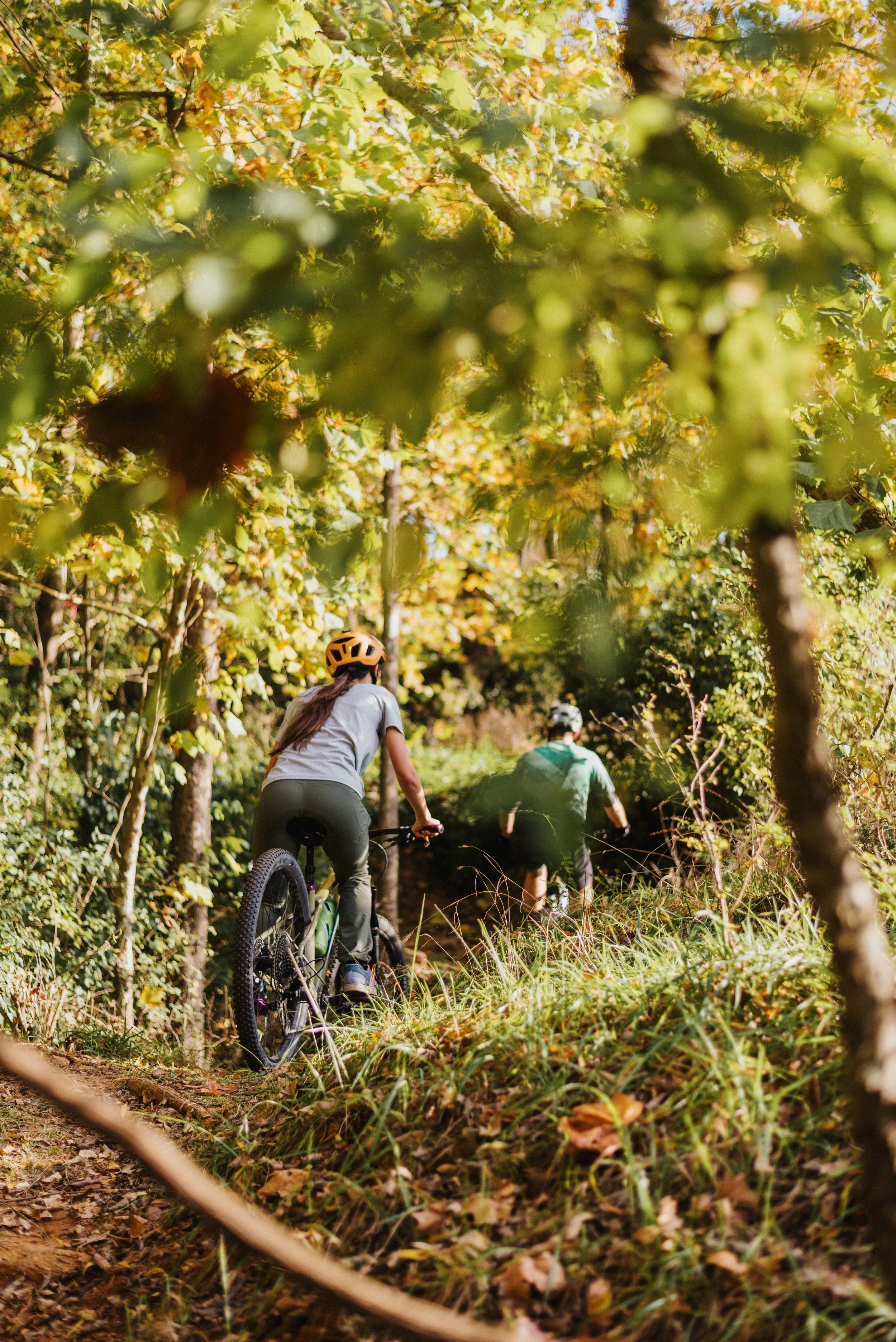 Two people riding mountain bikes through a forest trail with dense green and yellow leaves on trees, during daytime.