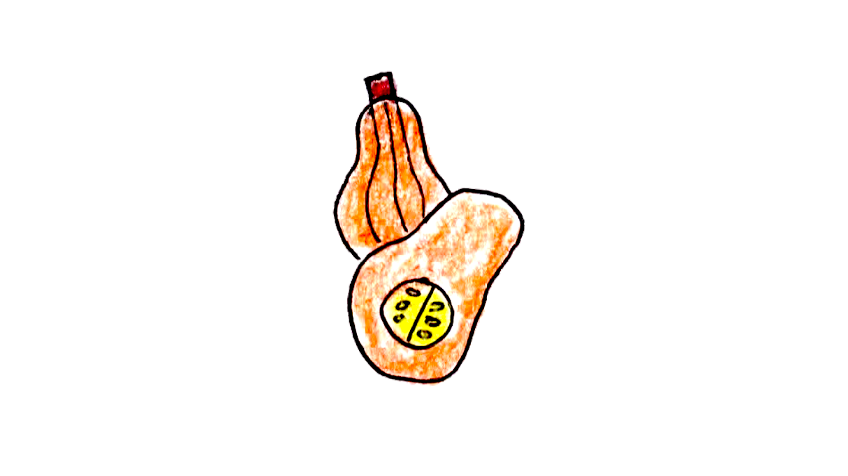Butternut Squash.png
