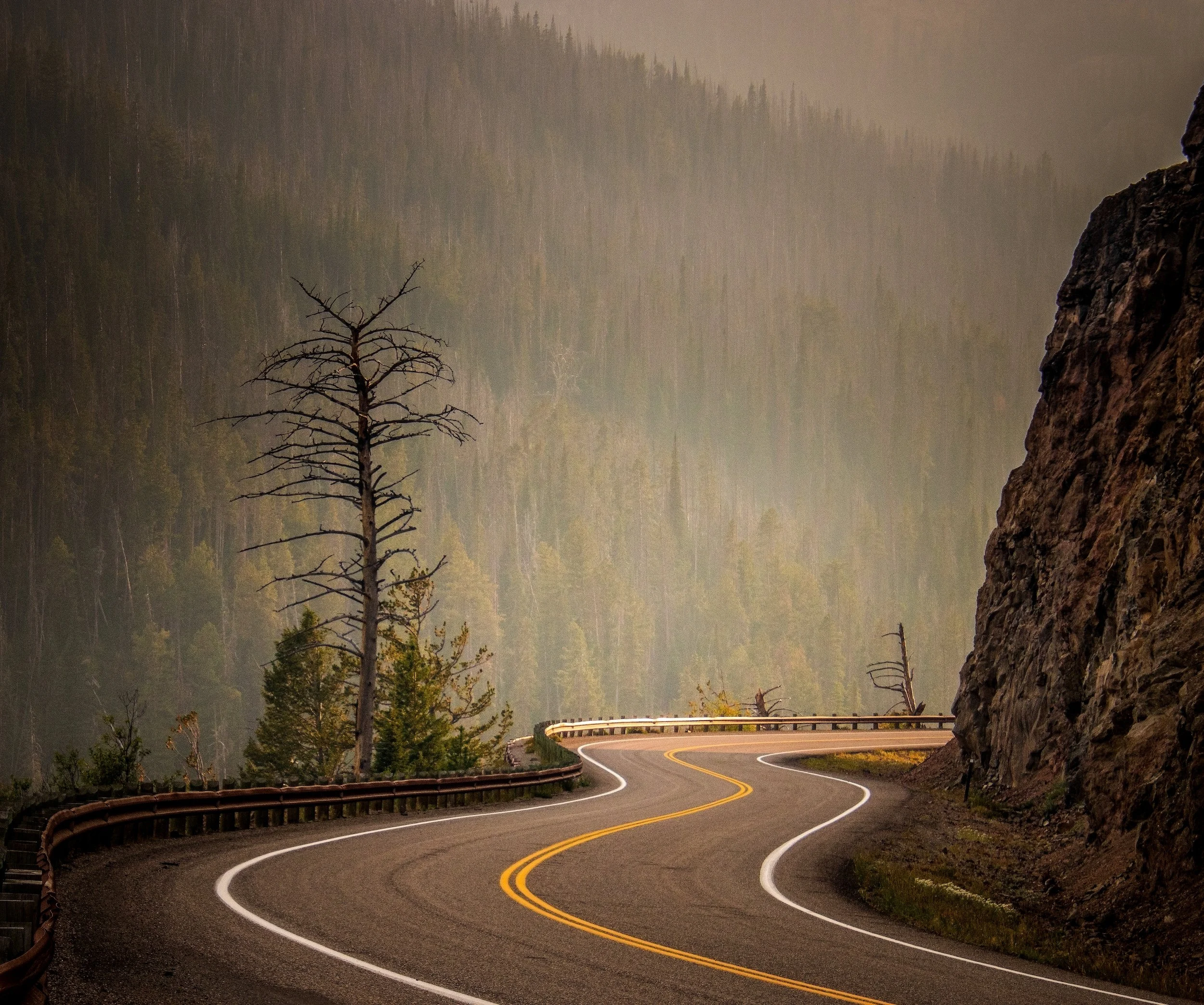 A winding mountain road with guardrails, surrounded by trees and rocky cliffs, with a misty or foggy background.