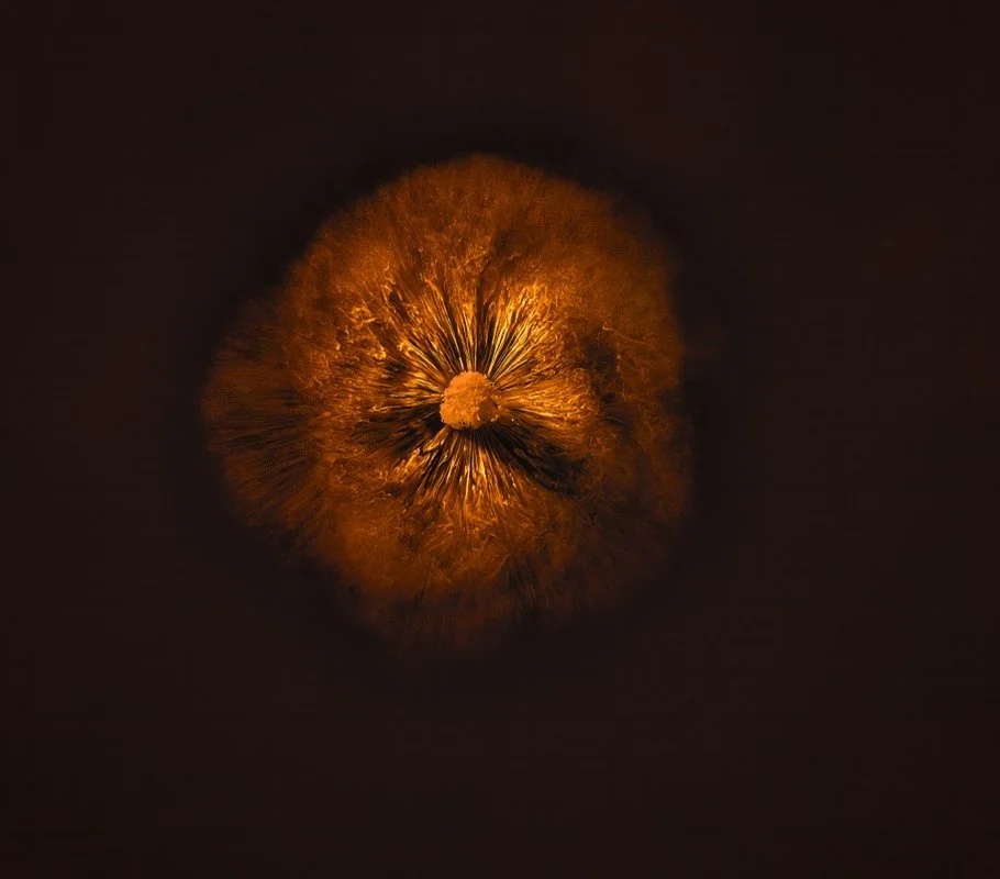 DA ©Margaret West "Universe is Expanding" 2nd Place Tie