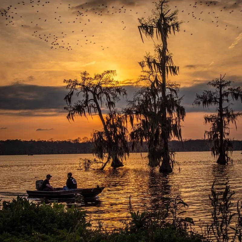 DT ©Mike Barker "Sunset Lake Martin LA" 3rd Place