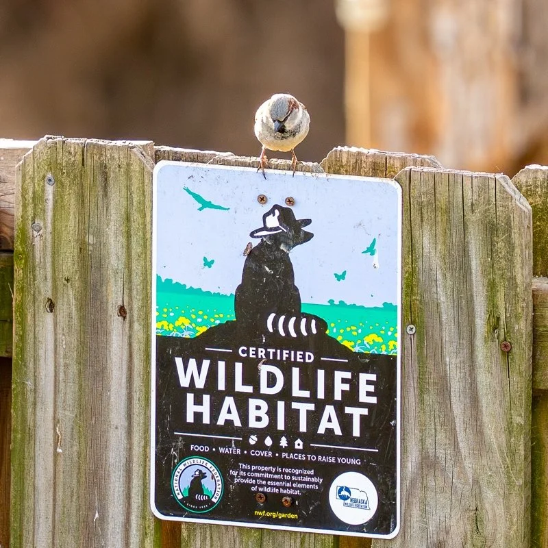 DJ ©Jennifer Novak Haar "Guess I'm in the Right Place" 2nd Place