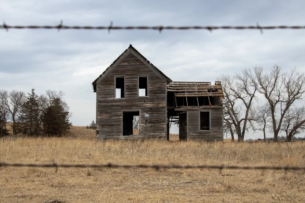 DP ©Ron Schmidt "Between the Lines" 3rd Place