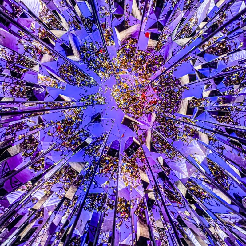 DA ©Mike Barker "Looking Up or Down" 2nd Place Tie