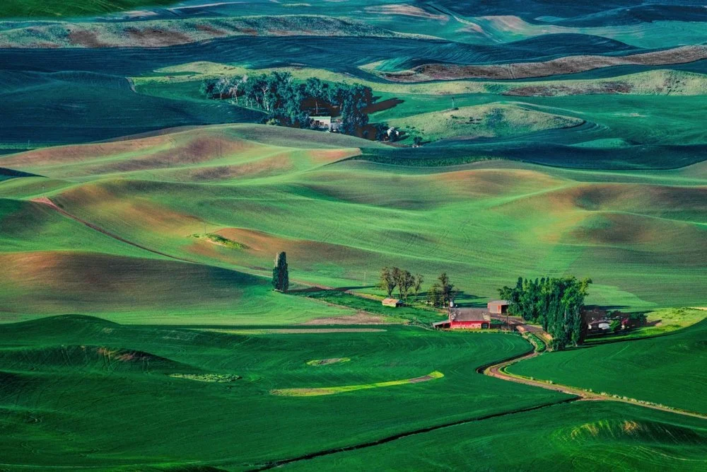 DT ©Nikki McDonald "Palouse Farms 04 Washington" 2nd Place