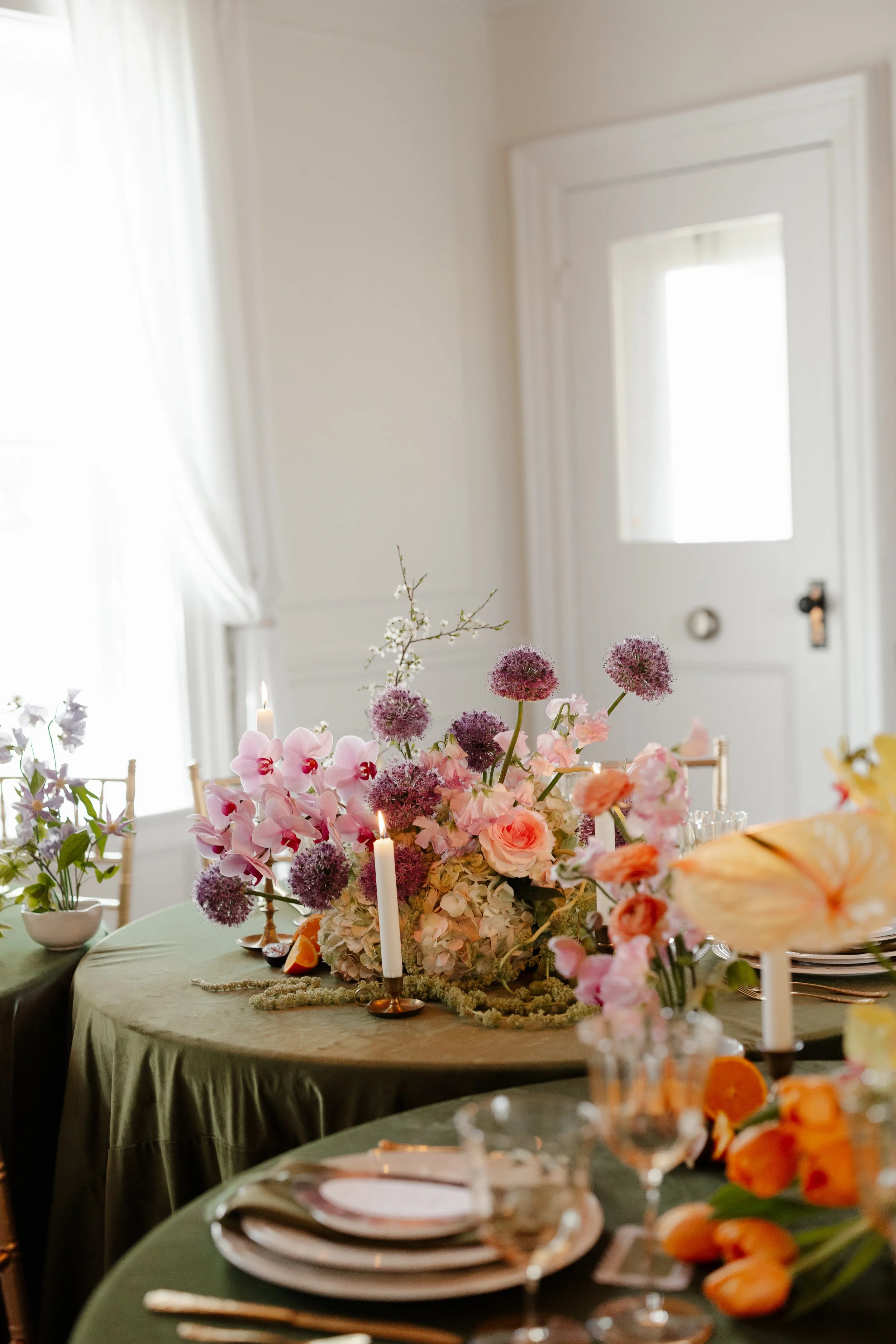 MaddyLouPhoto.FAIRVIEW-386.jpg