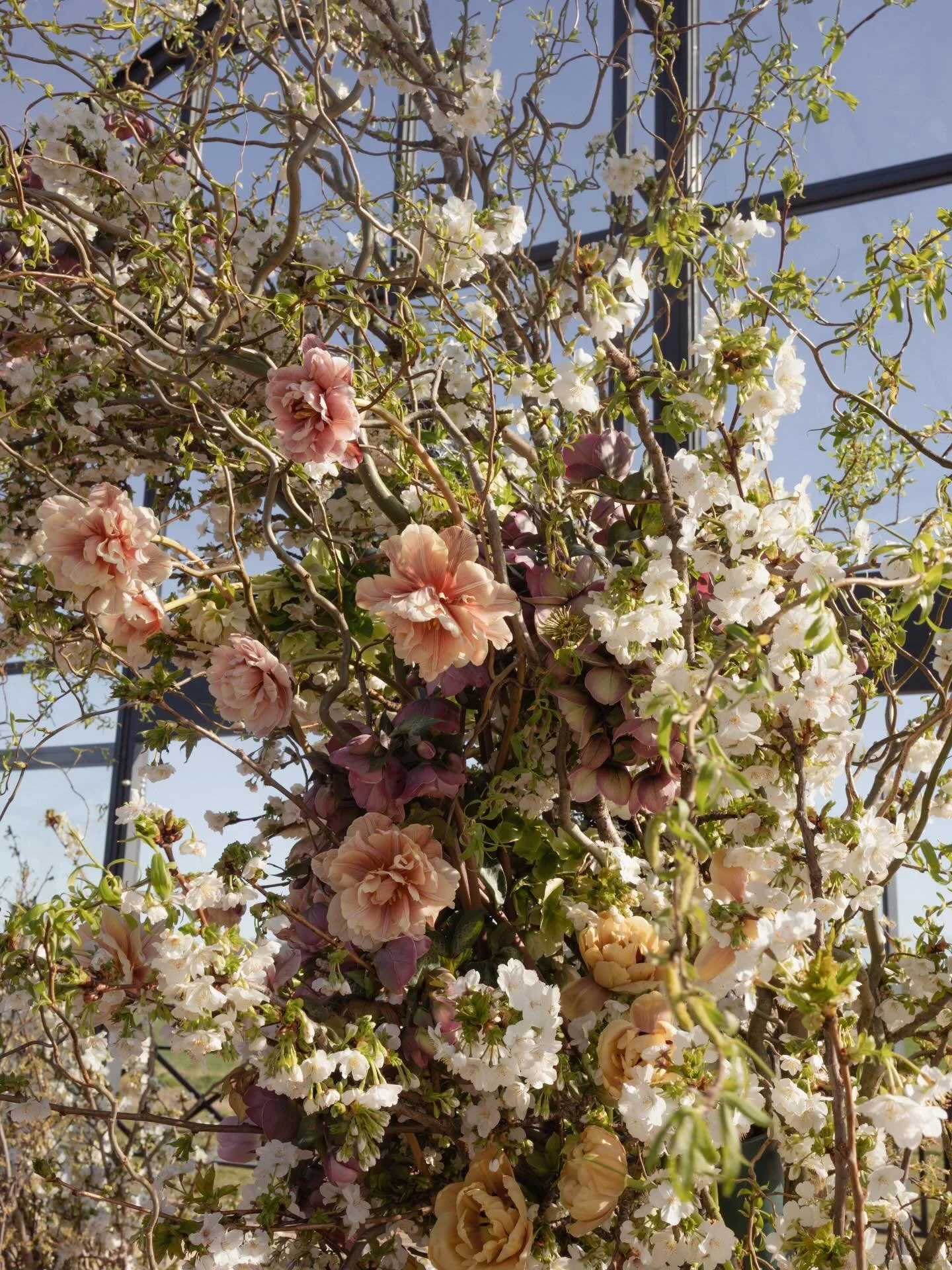 Details from the most wonderful experience. I took a trip to Europe for the Gaia floral workshop hosted by @trillefloral @gaiavessels and @libertylaneflowers . 

Venue @minerva_vines_ 
Photographer @emilyrosehamilton 
Decor @duchessbutler 
Catering @