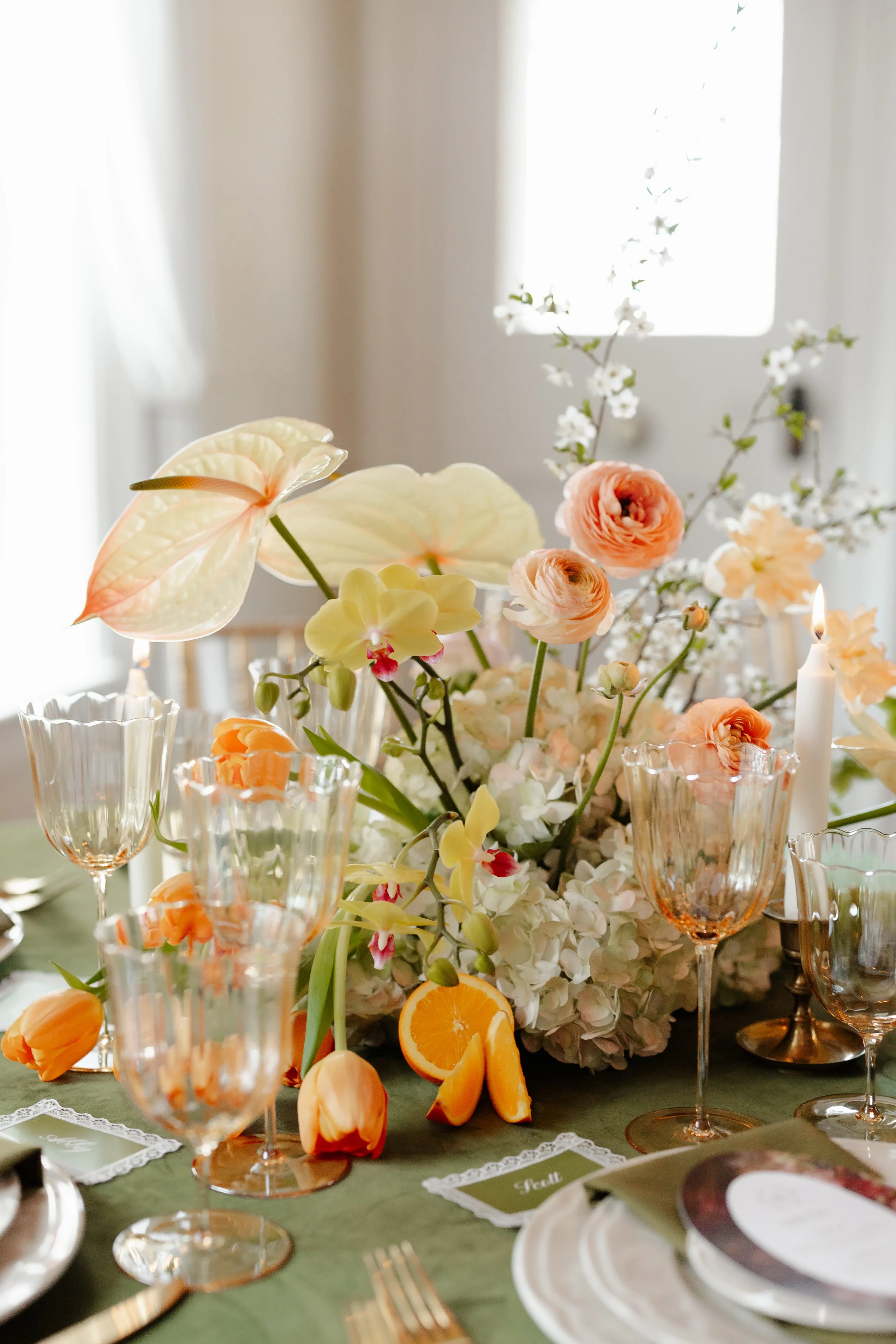 MaddyLouPhoto.FAIRVIEW-354.jpg