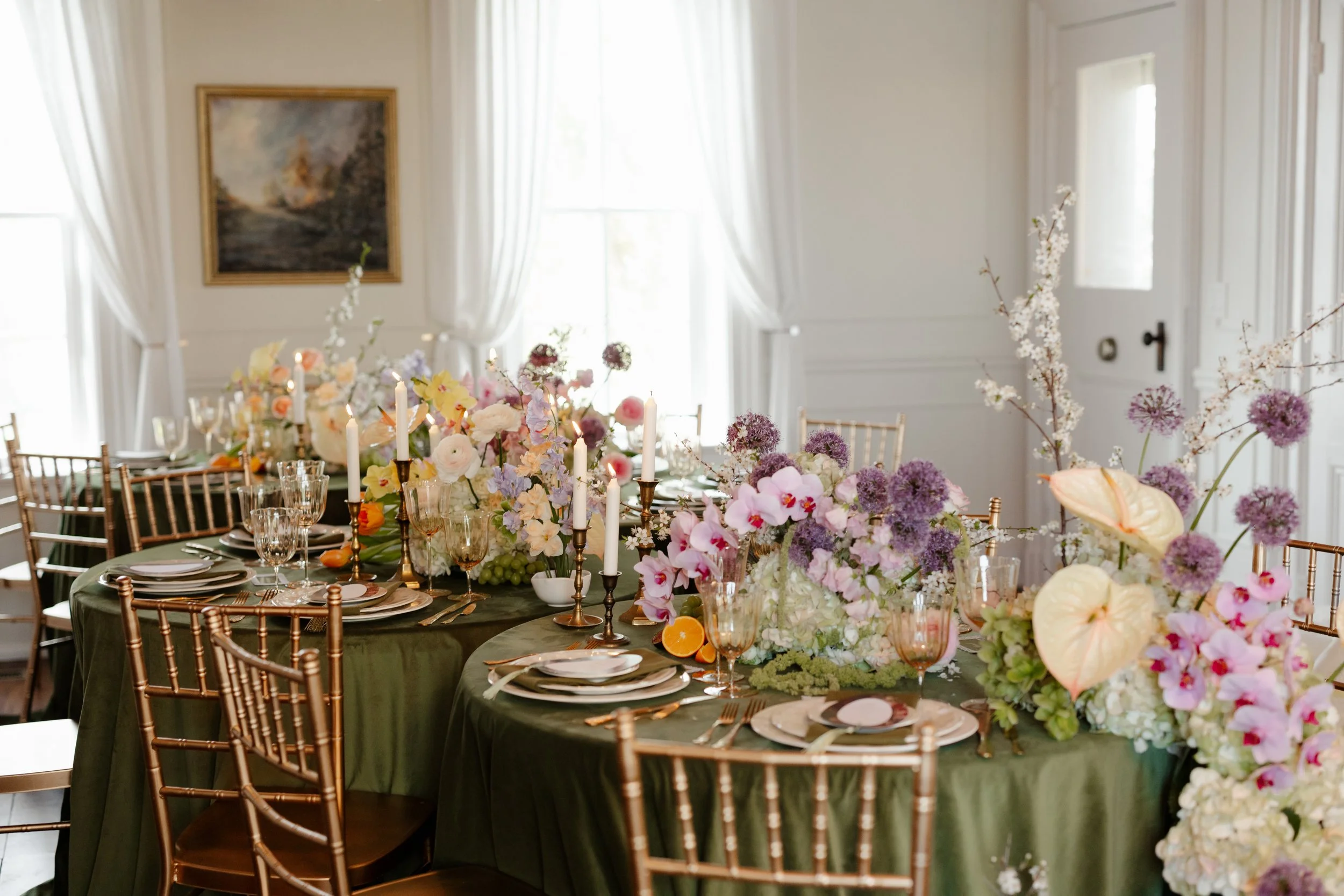 MaddyLouPhoto.FAIRVIEW-372.jpg