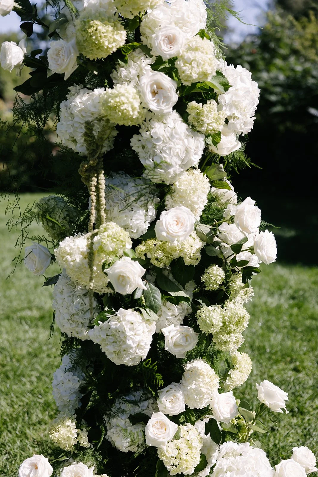 MangoStudios-E-0611_websize copy.jpg