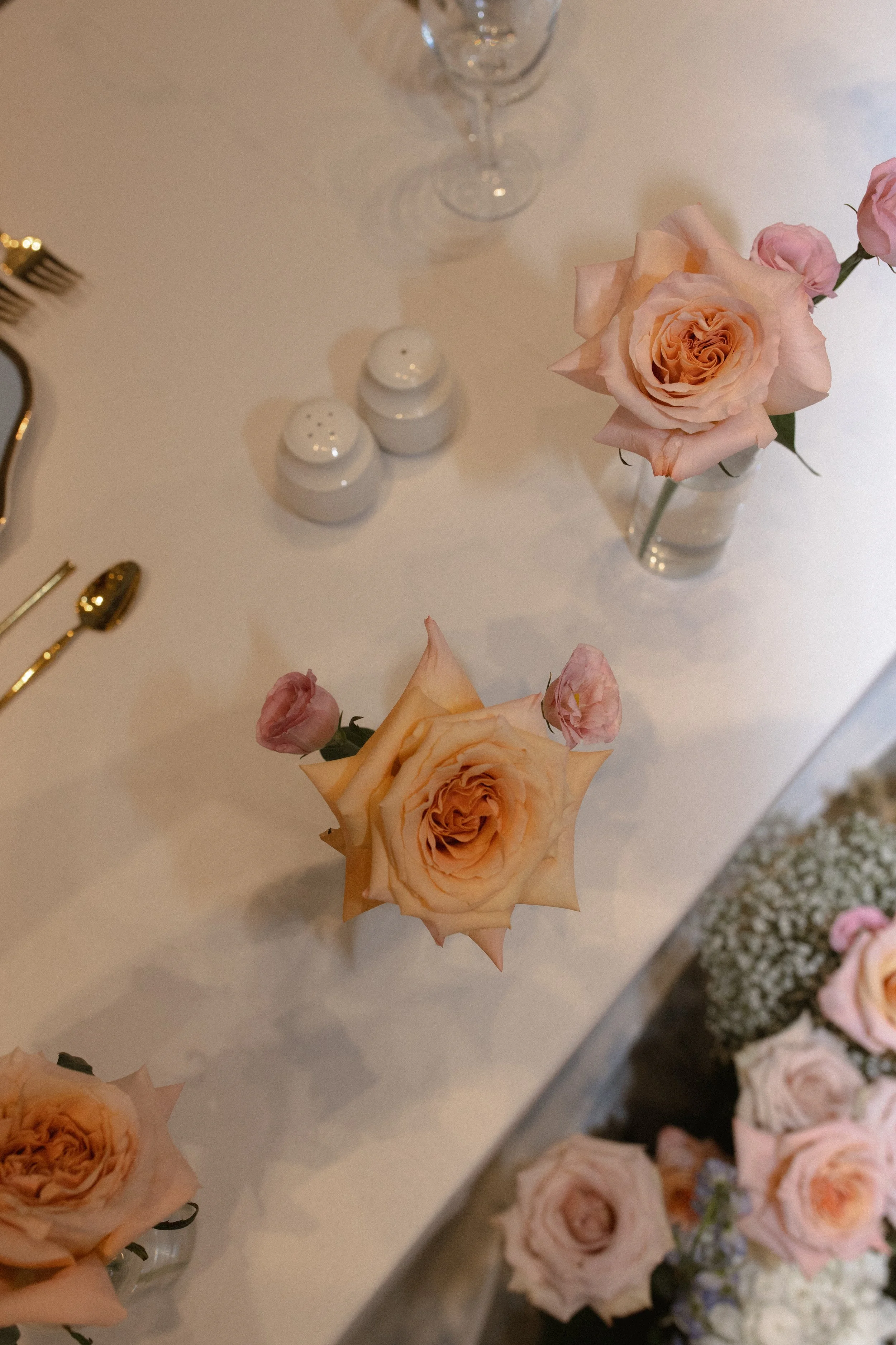 emilywatersphotographyjakeandnicolewedding(69of101).jpg