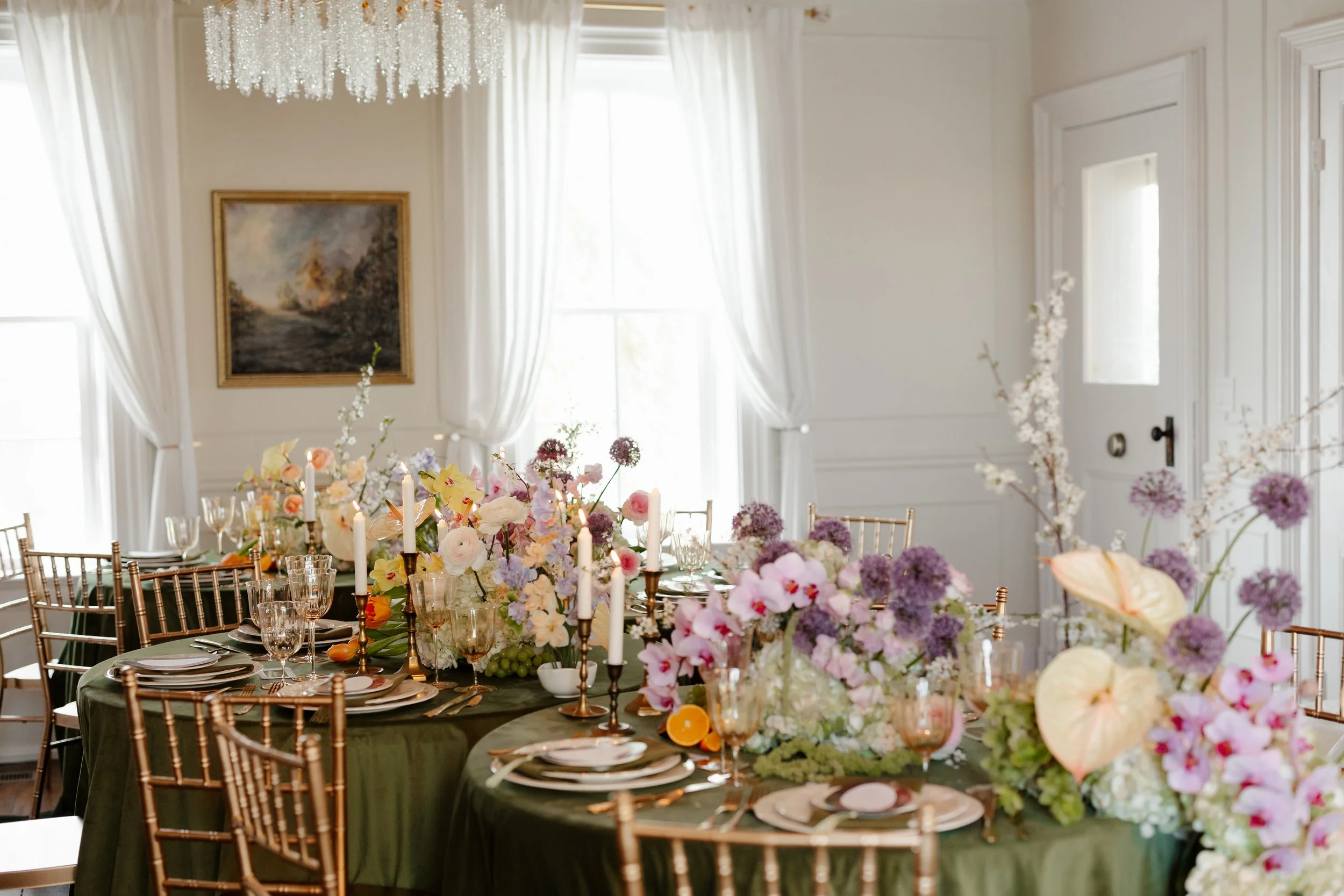 MaddyLouPhoto.FAIRVIEW-373.jpg