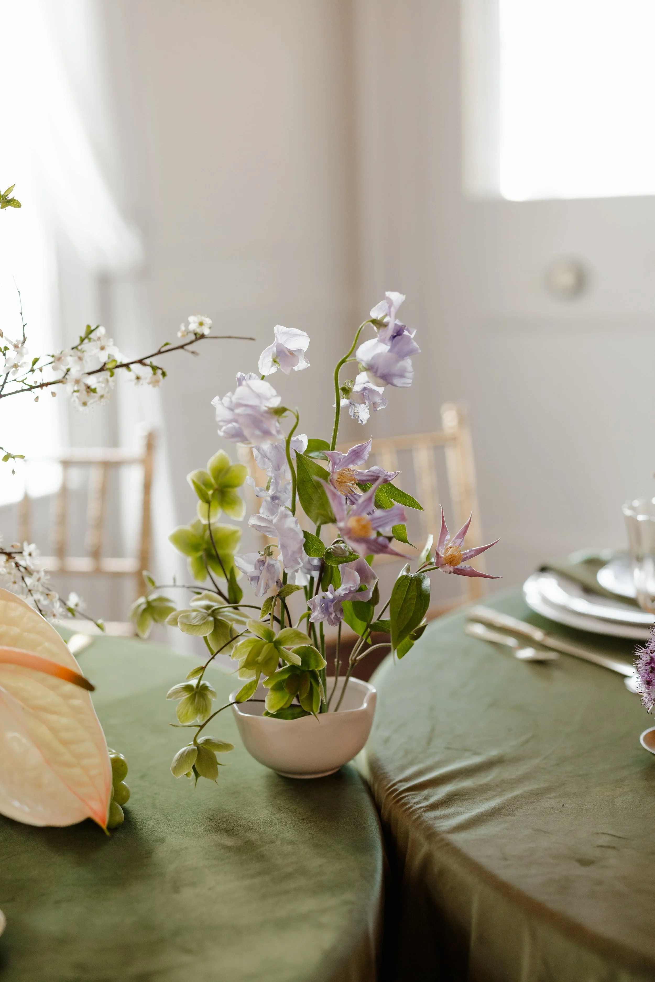 MaddyLouPhoto.FAIRVIEW-383.jpg