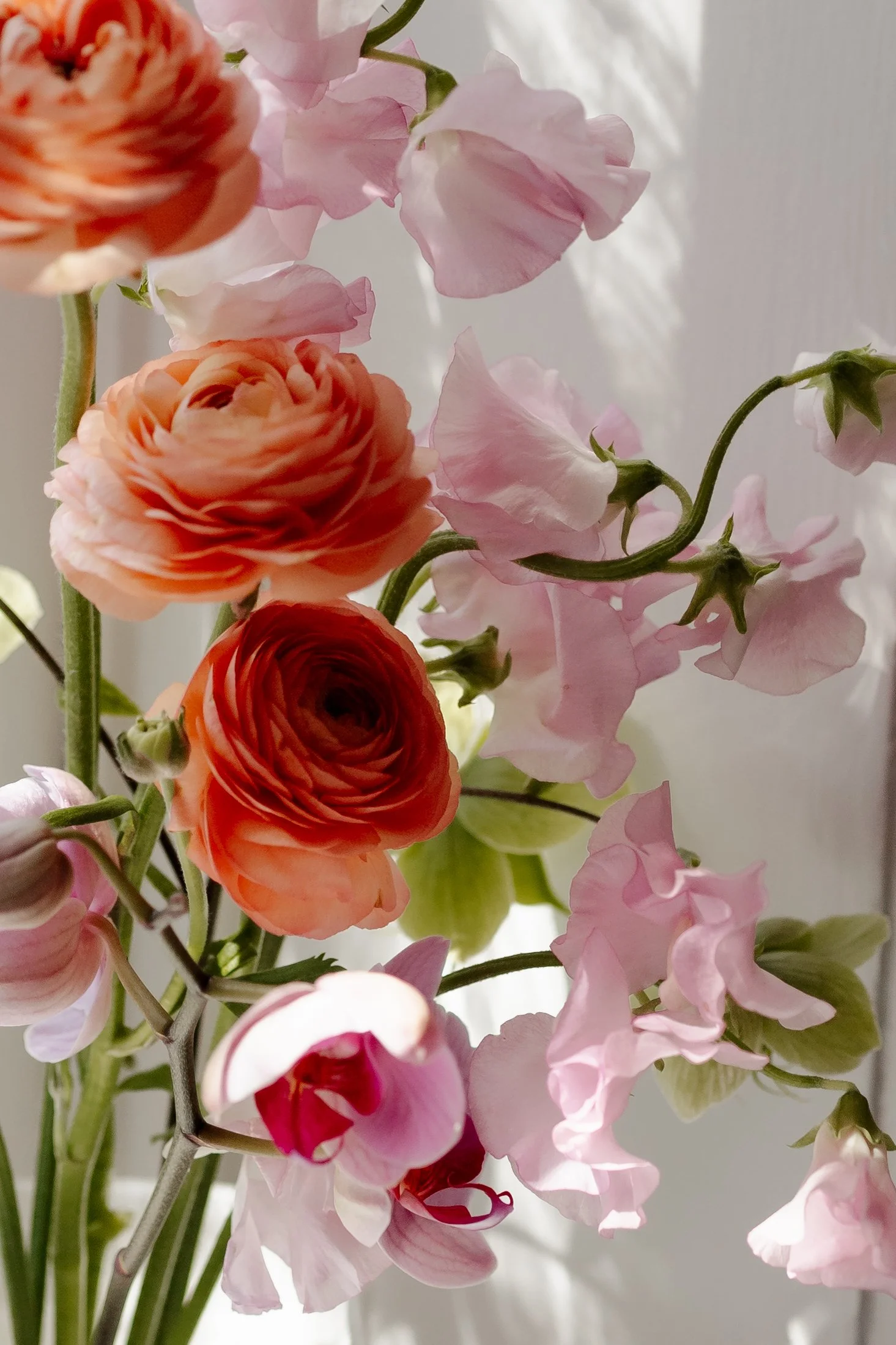 MaddyLouPhoto.FAIRVIEW-428 copy.jpg