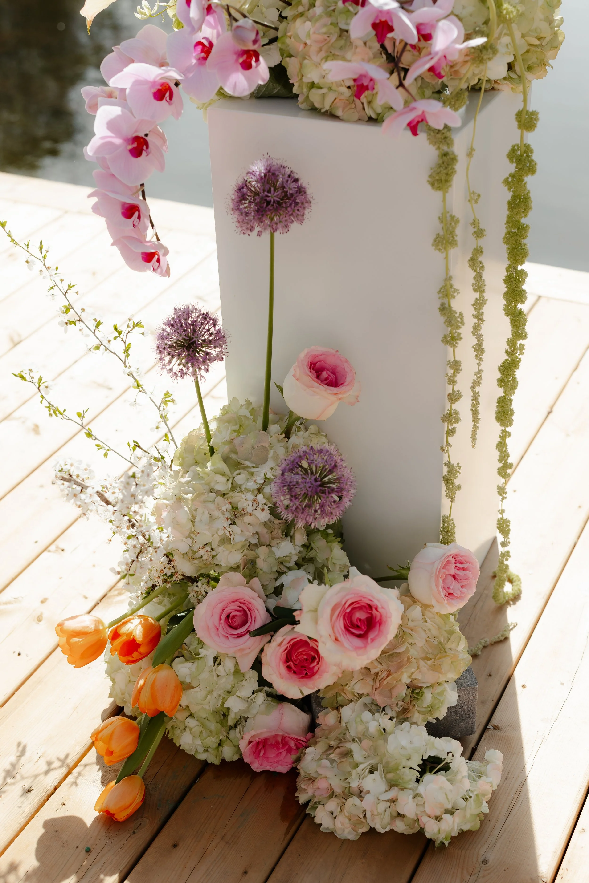 MaddyLouPhoto.FAIRVIEW-485.jpg