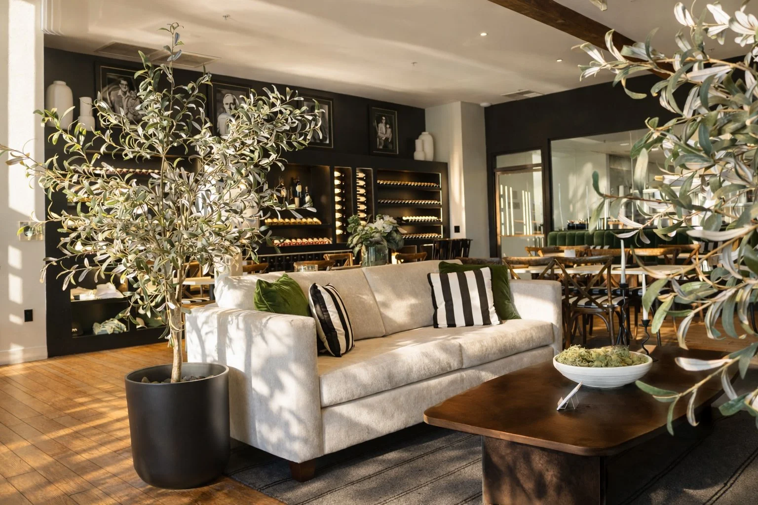 front lounge with sunlight.jpg