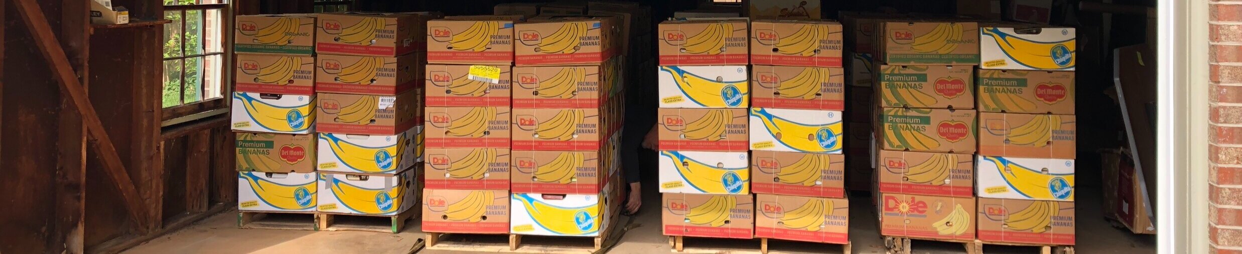 Myanmar Book Project Update