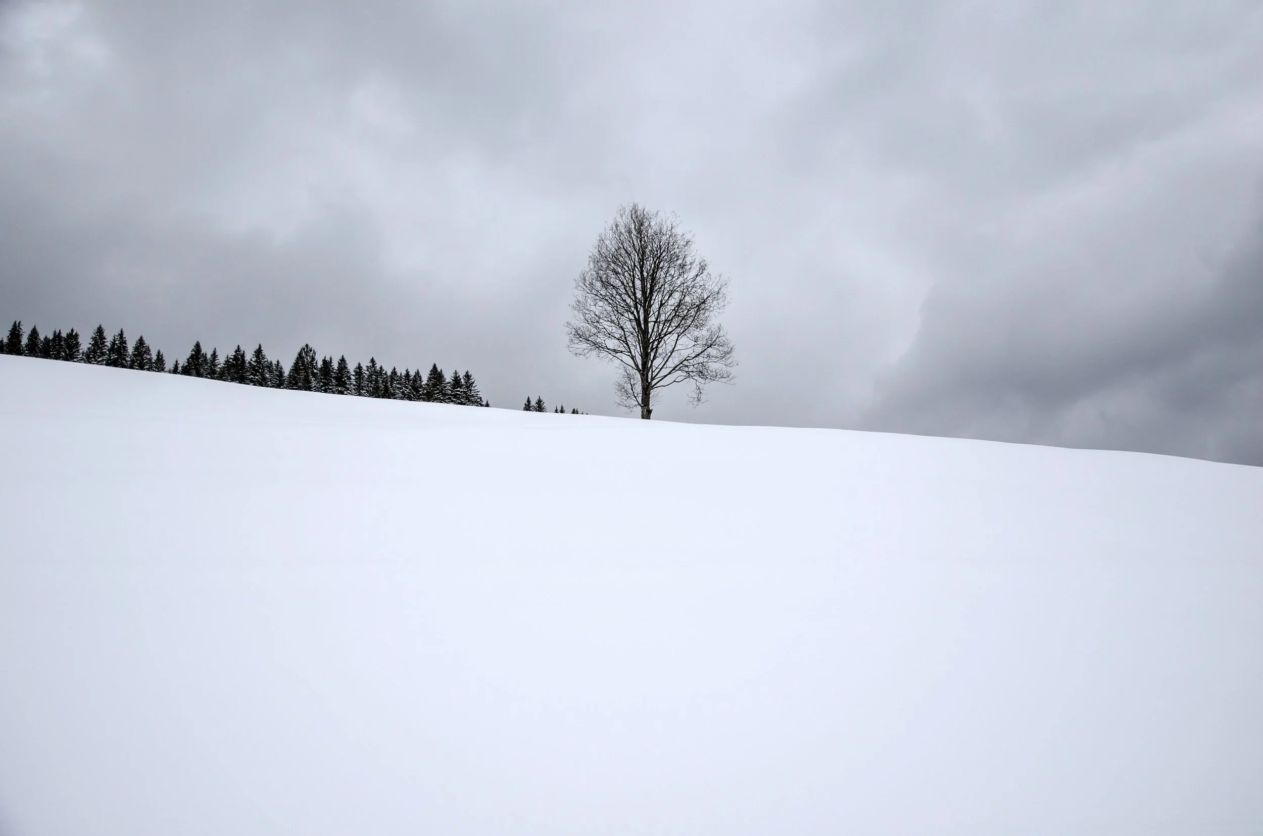 Cursed Christmas Tree