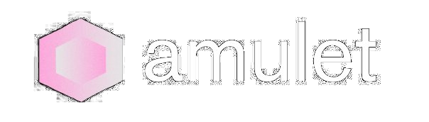 Logo with a pink hexagon and the word "amulet" on a black background.