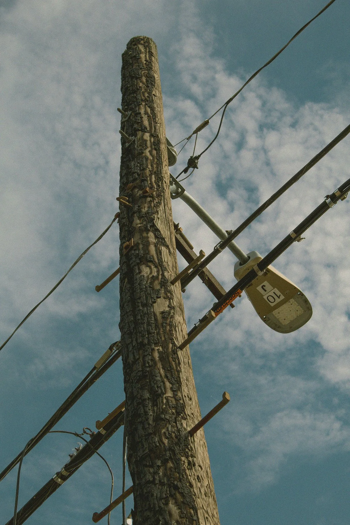 _MG_8308 grain copy.jpg