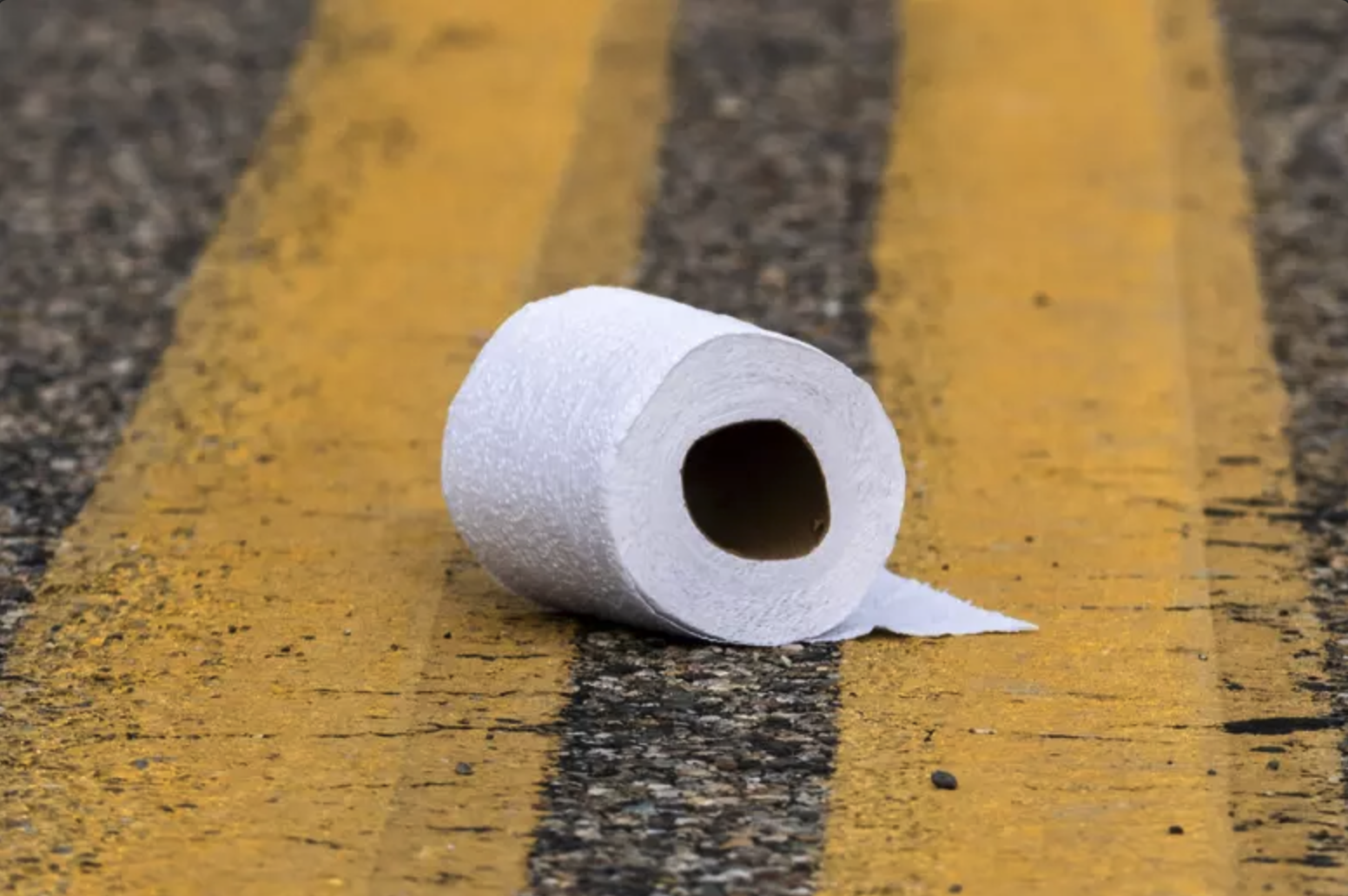 TOILET PAPER ROLL