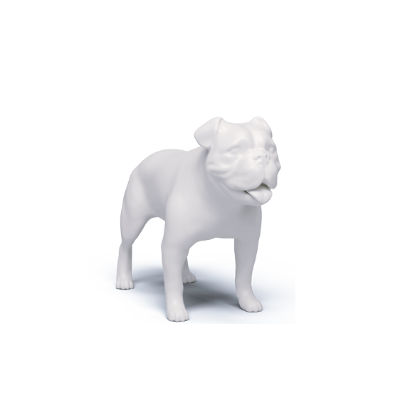 ENGLISH BULLDOG