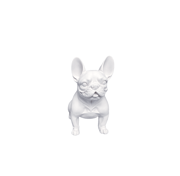 FRENCH BULLDOG 2