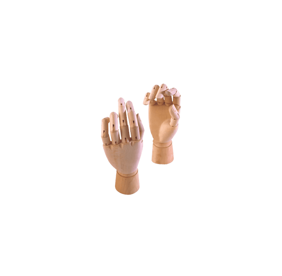 Male Articulated Hands