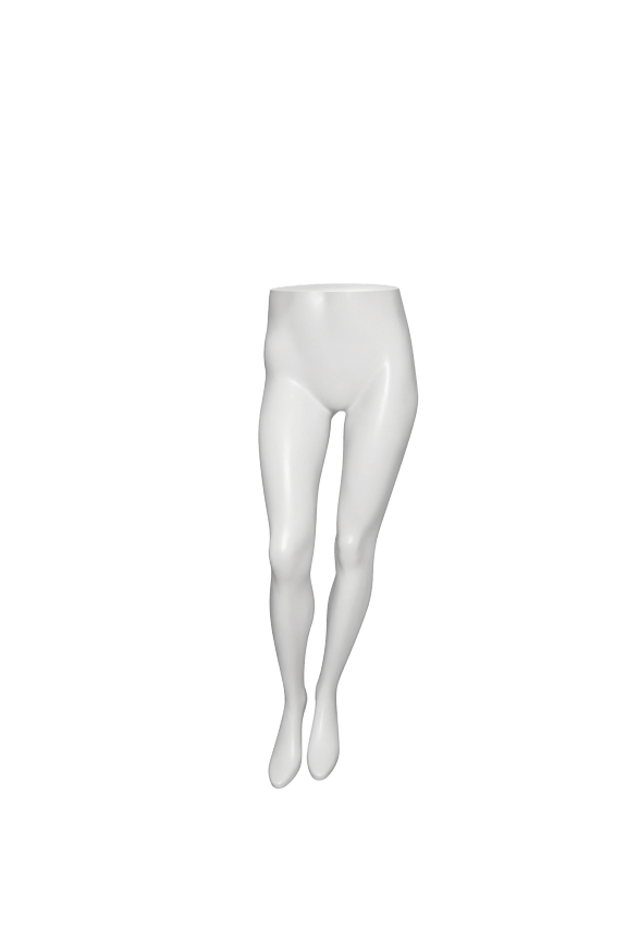 Female Leg Form 4328546