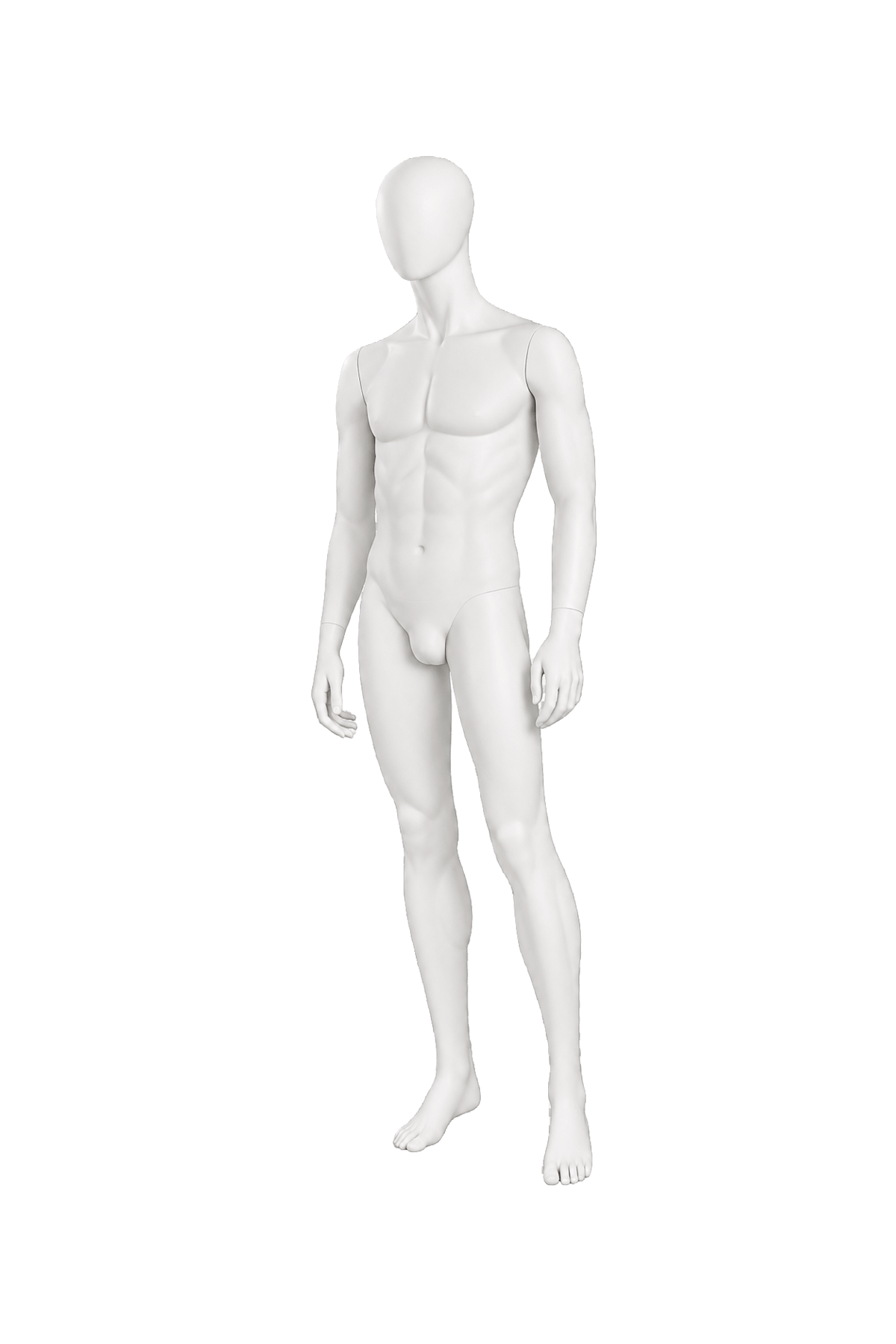 Muse Male Pose 1 Arm A