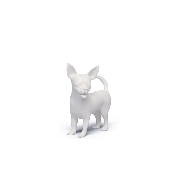CHIHUAHUA