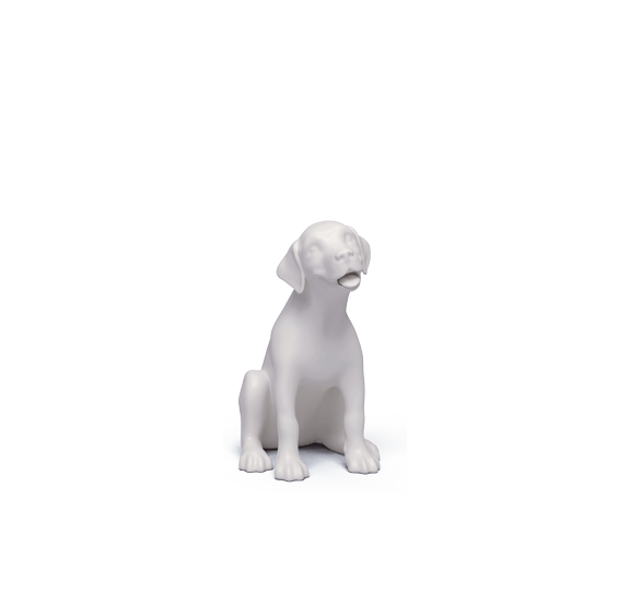 LABRADOR RETRIEVER PUP