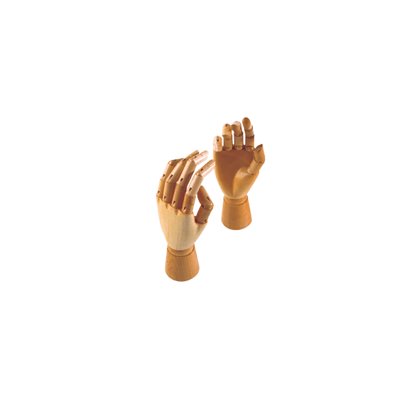 Female Articulated Hands