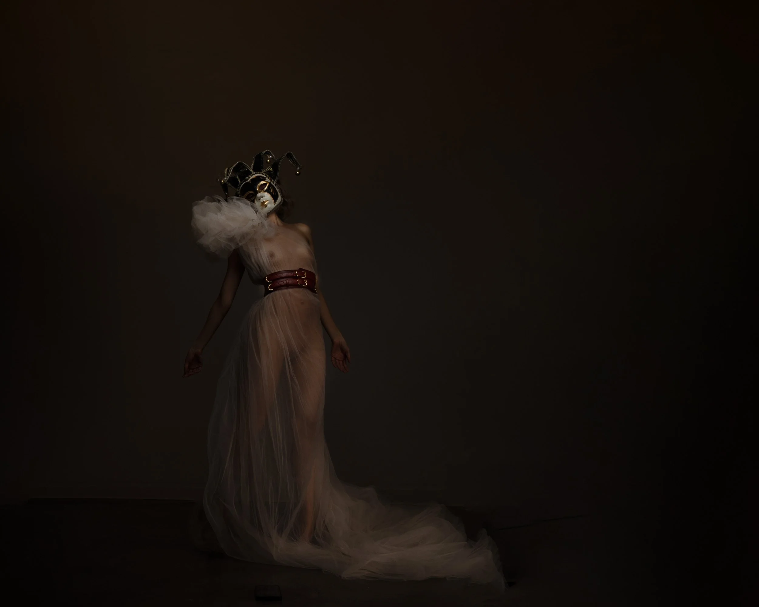 Fine art fantasy portrait of a woman in a flowing gown and ornate crown photographed under dramatic low-key studio lighting.