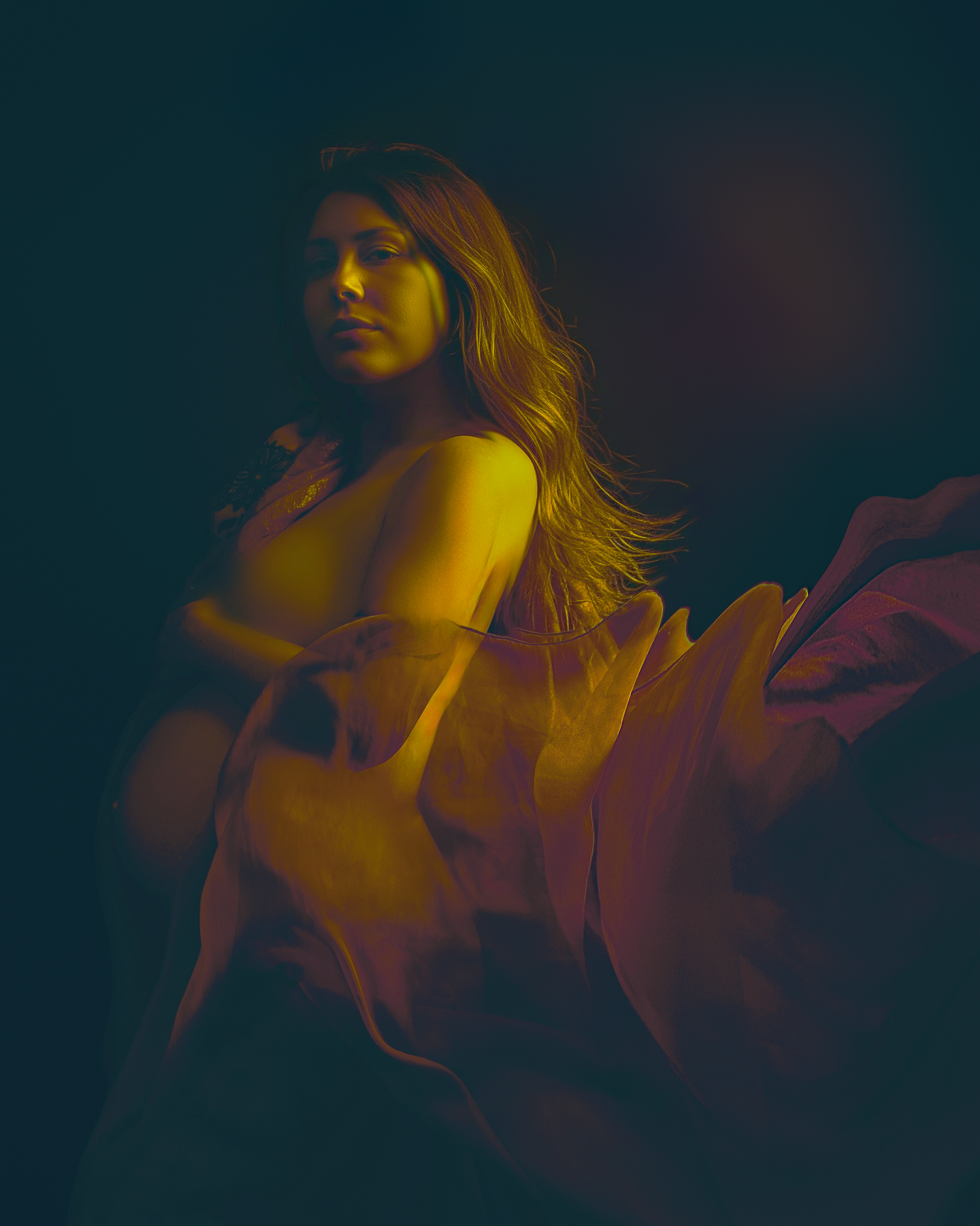 Vancouver, Washington maternity portrait of a woman wearing a flowing chiffon wrap highlighted in dramatic copper and burgandy studio light by Amanda Chantee 