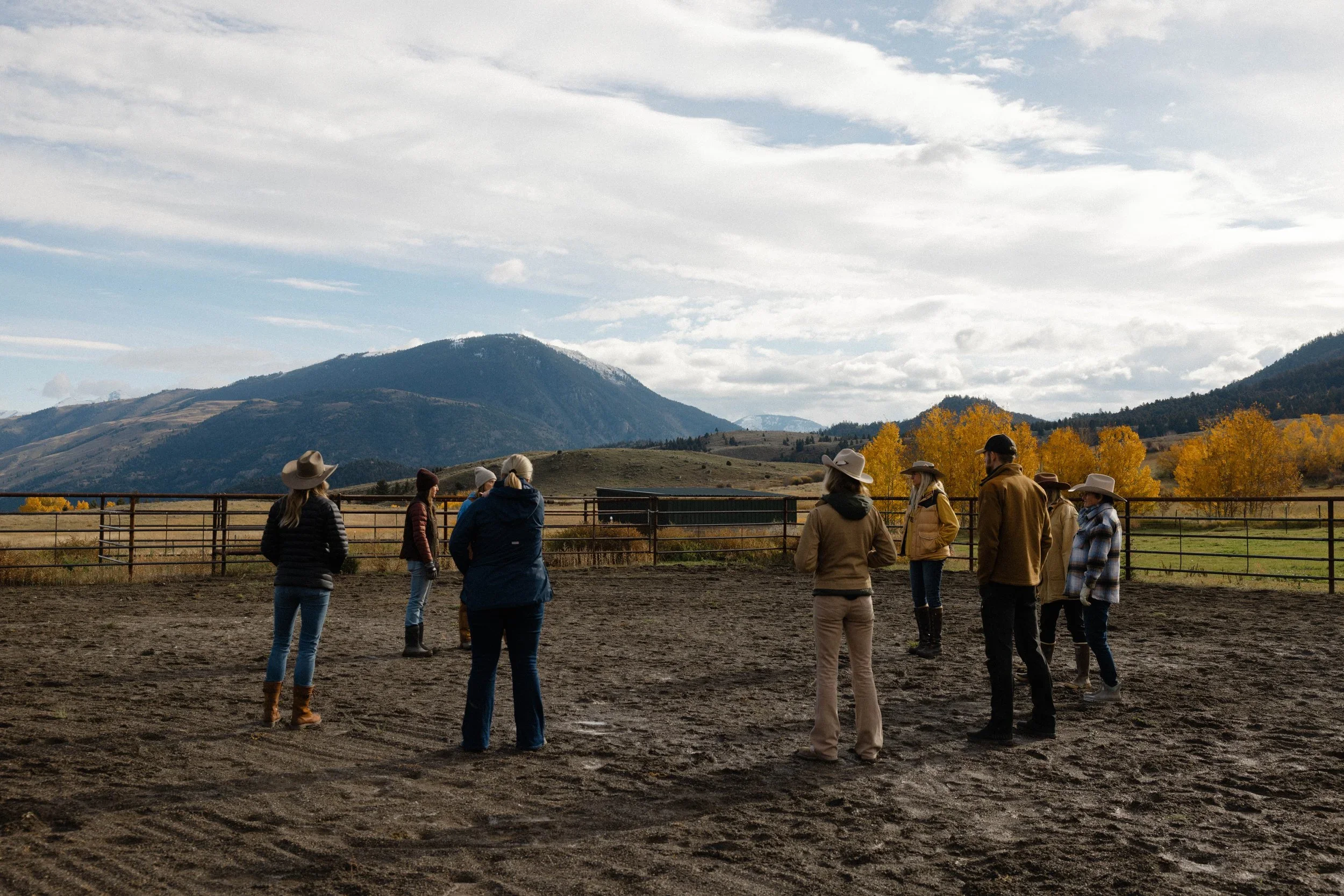 Intro Clinic | Being with Horses