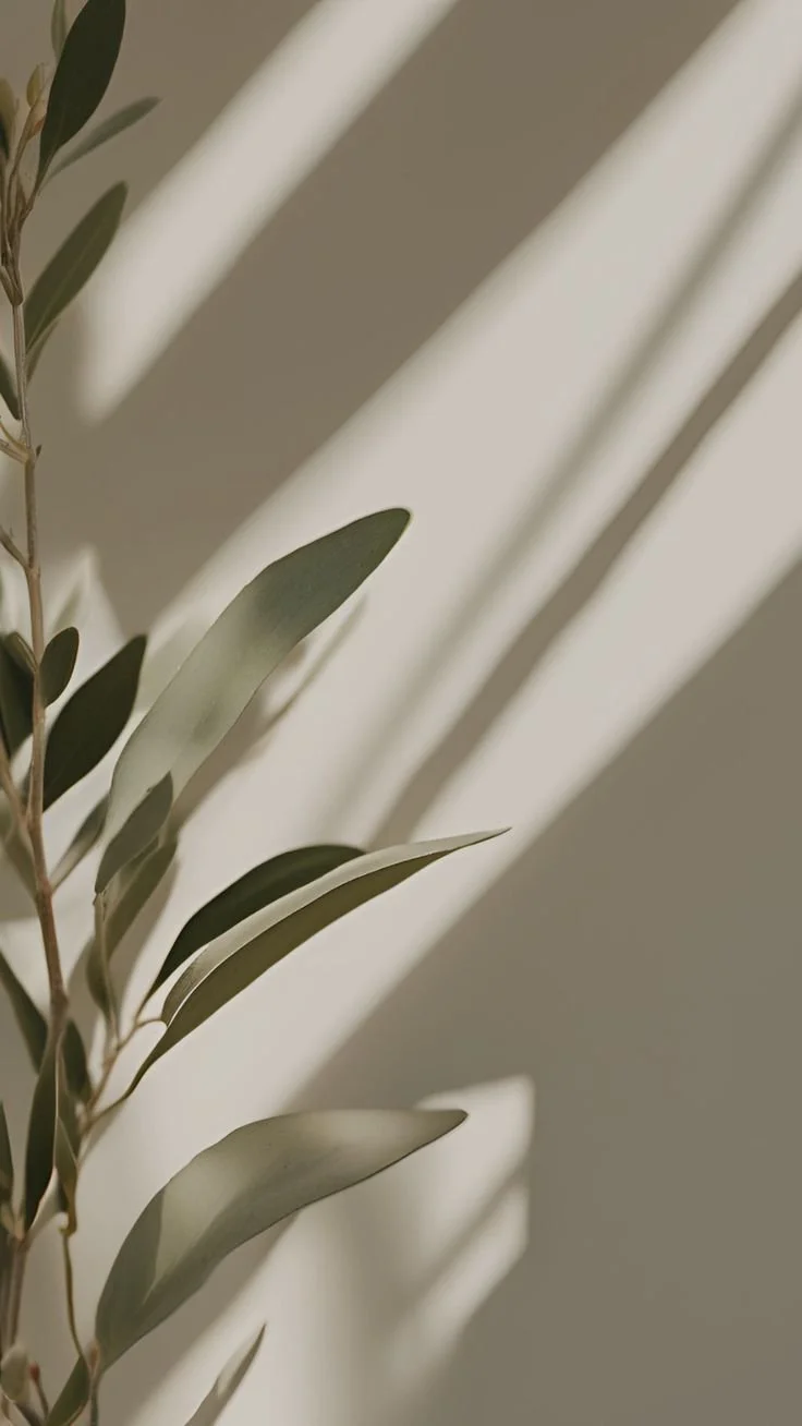 Beginner-friendly sound bath in Valencia, CA