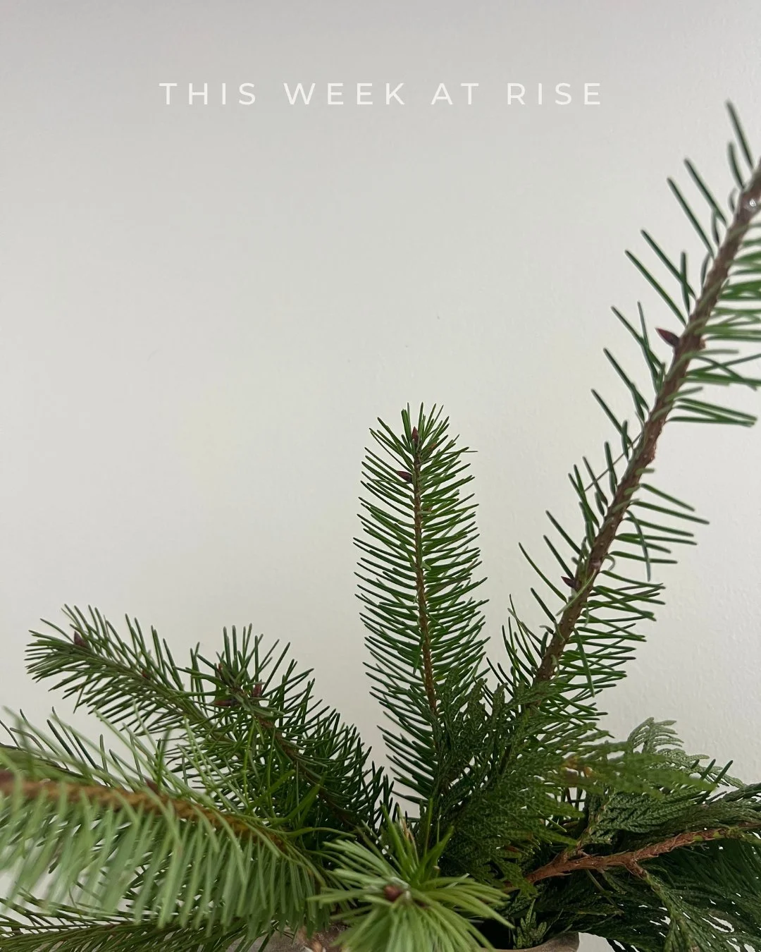 As we ease out of the holiday week, our hearts are still full.
Thank you to everyone who spent time with us this month - in the studio, in the sauna, in community. Your presence, your willingness to care for yourselves, and the way you show up for th