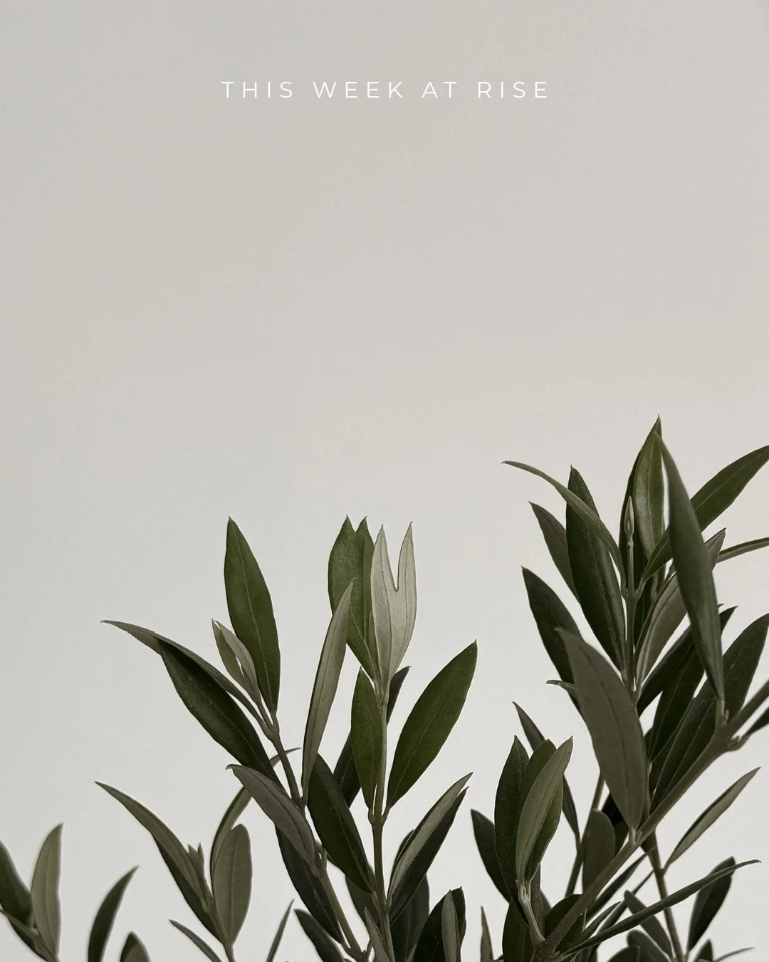 January is about settling in, finding your rhythm, and choosing steady support over pressure. Whether you&rsquo;re returning to familiar practices or stepping into the studio for the first time, this week&rsquo;s offerings are here to help you feel g