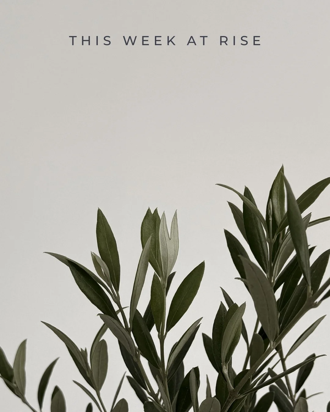 This Week at Rise 

Feeling better doesn&rsquo;t come from doing more -
it comes from doing the right things consistently.

A class you come back to.
A routine your body can rely on.
A space that helps you reset each week.

Start simple. Stay consist